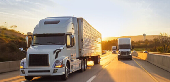 online-egitim-ve-sinav-portali